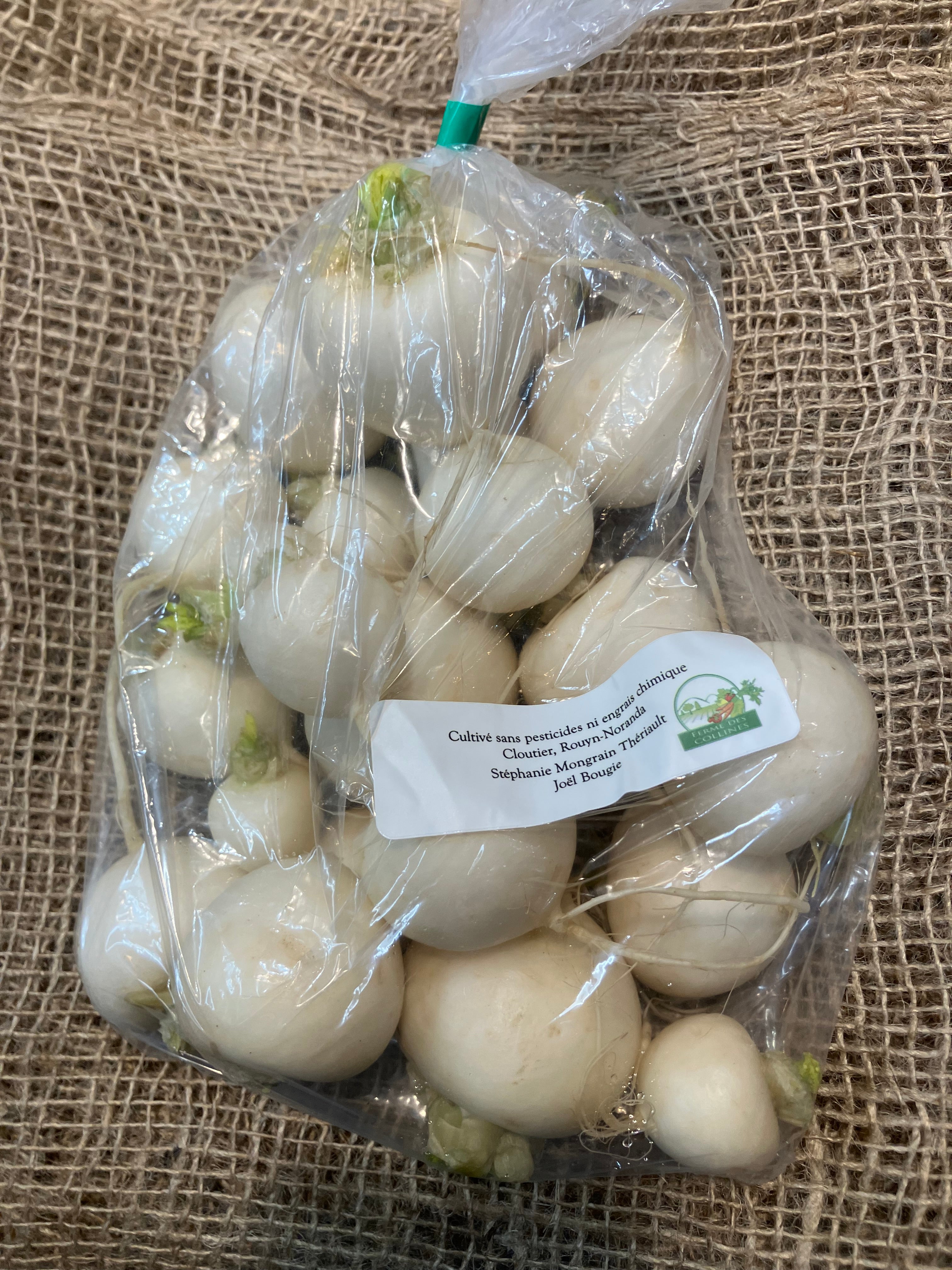 Rabiole locale – Abitibi-Témiscamingue